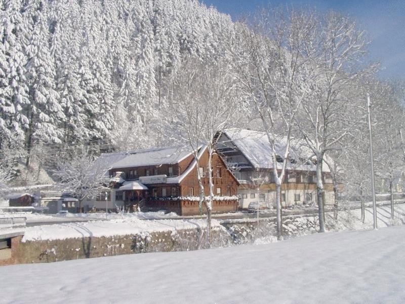 Grüner Hof Otel Zell am Harmersbach Dış mekan fotoğraf