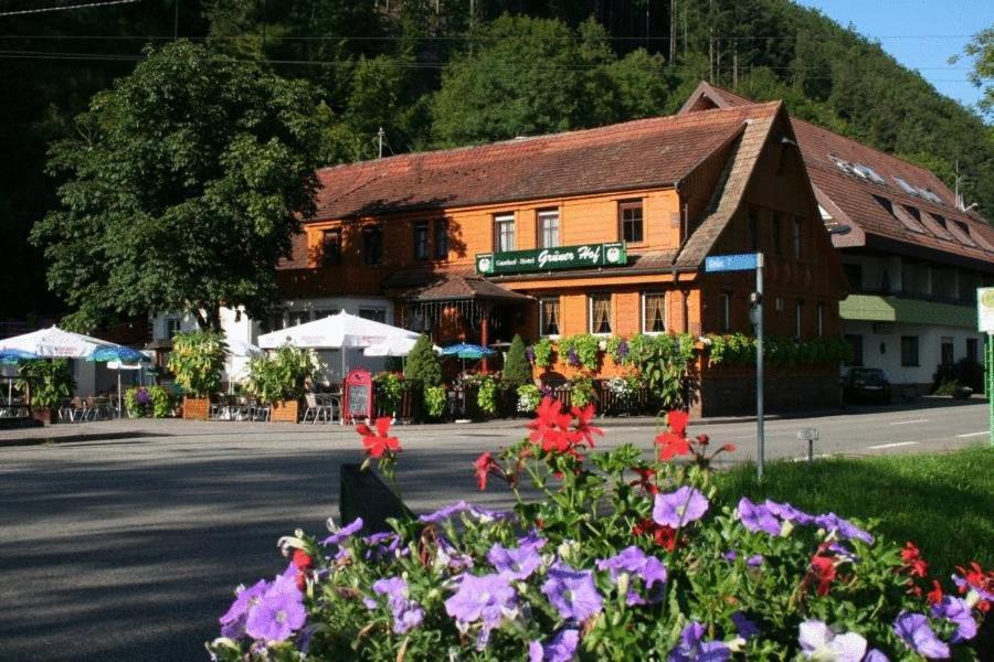 Grüner Hof Otel Zell am Harmersbach Dış mekan fotoğraf